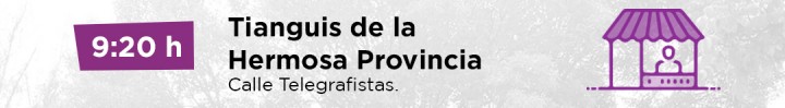 Tianguis de la hermosa provincia